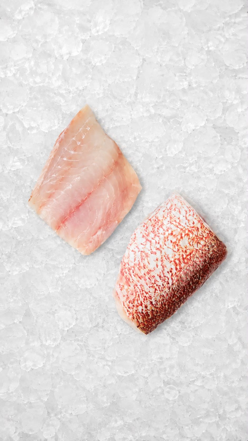 Red Snapper Fillet
